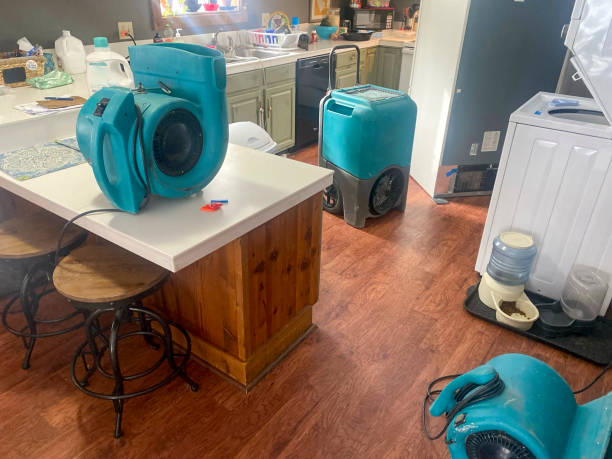 Best Professional water damage repair  in Glenville, WV