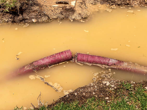Water damage restoration experts in WV